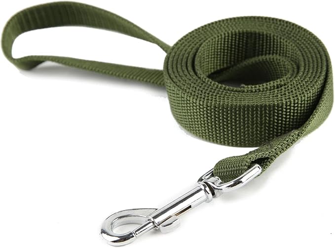 Nylon Dog Training Leash, Traction Rope, 4/5/6 Feet Long, 3/4 Inch 1 Inch Wide, for Small and Medium Dogs (1'' x 4 FT, Green) by TAIDA