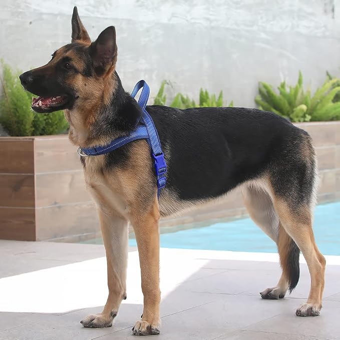 Plutus Pet No Pull Dog Harness for Large Dogs, Breathable Mesh Padded | Adjustable Reflective with Handle, Escape Proof, Quick Fit Pet Vest, Front Clip, for Training and Walking, Royal Blue, XL - Image 5