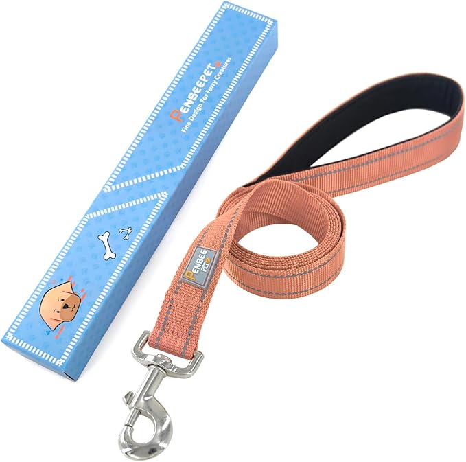 6 FT Basic Dog Leash for Small Dogs,Coral | Padded Handle,Metal D-Ring,Heavy Duty Nylon Webbing, for Walking & Training - Image 6