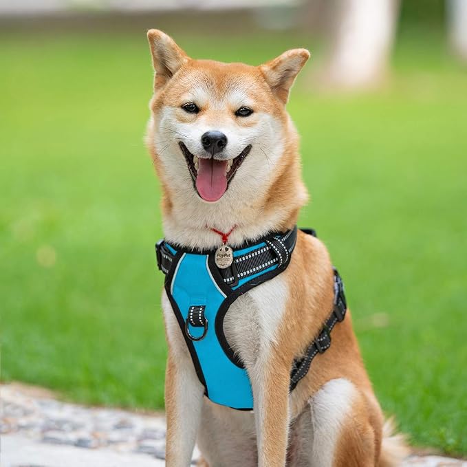 PoyPet No Pull Dog Harness Small, Reflective Vest with Front Clip & Handle | Easy On/Off, No Choke, Adjustable, 2 Leash D-rings, Soft Padded, Breathable, Oxford, for Walking Training, S, Blue - Image 3