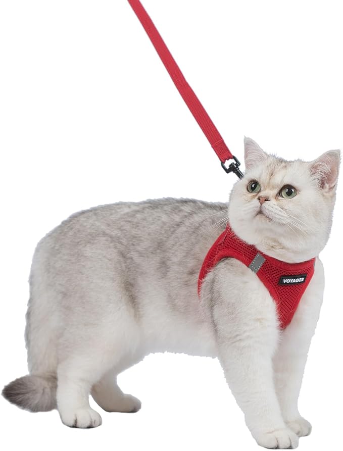 Voyager Step-in Air Cat Harness & Leash Set - Red, S | 14 - 16" in Chest, Reflective Bands, All Weather Breathable Air Mesh, Cats Compatible, Fast Drying - Image 2