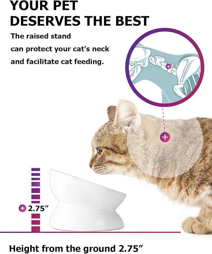 Y YHY Cat Bowl Anti Vomiting, Raised Food Bowls, Tilted Elevated Bowl, Ceramic Pet Food Bowl for Flat Faced Cats, Small Dogs, Protect Pet's Spine, Dishwasher Safe (5 Inches, White) - Image 5