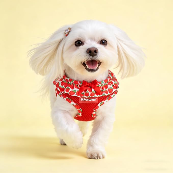 EXPAWLORER Step-in Dog Harness Small Sized and Leash Set | Cute Small Dog Harness No Pull Girl, Breathable Soft Mesh Padded, Adjustable Light Puppy Vest for Dogs Cats, Strawberry XS - Image 7