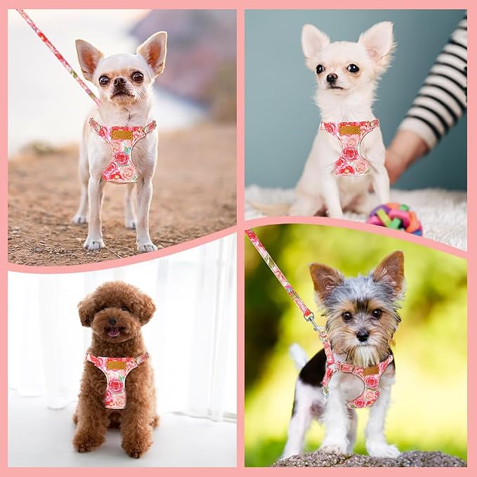 SlowTon No Pull Dog Harness with Leash for Small Medium Dogs, Rose, S | Floral Pattern, Step-in, Lightweight, Easy Put On and Off, No Choke, Soft Cotton and Suede for Daily Walking - Image 7