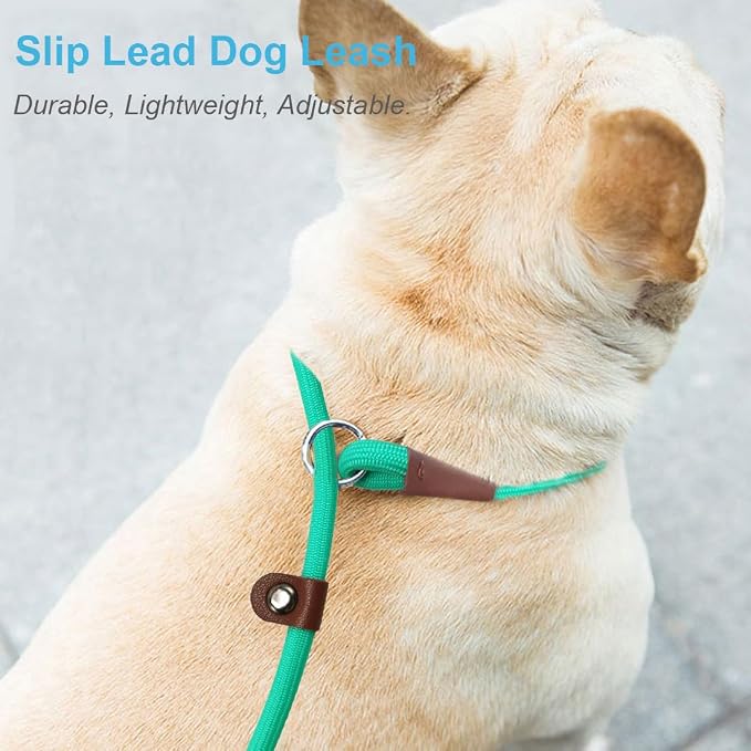 MayPaw Slip Lead Control Leash for Dogs No Pull, 13+ Colors Classic Dog Lead 7 FT Pet Slip Leash, 1/4” Rope Leashes for Small Medium Animals (7ft*1/4", Turquoise) - Image 5