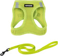 Voyager Step-in Air Cat Harness & Leash Set - Lime Green, S | 14 - 16" in Chest, Reflective Bands, All Weather Breathable Air Mesh, Cats Compatible, Fast Drying by BestPetSuppliesLLC