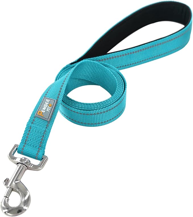 6 FT Basic Dog Leash for Large Dogs,Sky Blue | Padded Handle,Metal D-Ring,Heavy Duty Nylon Webbing, for Walking & Training - Image 2