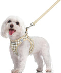 rabbitgoo Dog Harness Small Sized and Leash Set, Step-in Puppy Pet Vest | Light, Soft, Breathable Air Mesh, Easy on and Remove with Hook & Loop, Secure Reflective for Walking, Beige Check M by rabbitgoo
