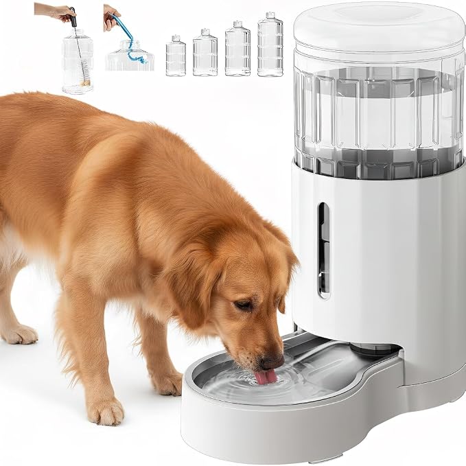 CZPET Automatic 8L Dog and Cat Water Dispenser Gravity Waterer | With Stainless Steel Bowl Gravity Waterer, Large Capacity and Drinking Area Noise-Free for Pets by CZPET