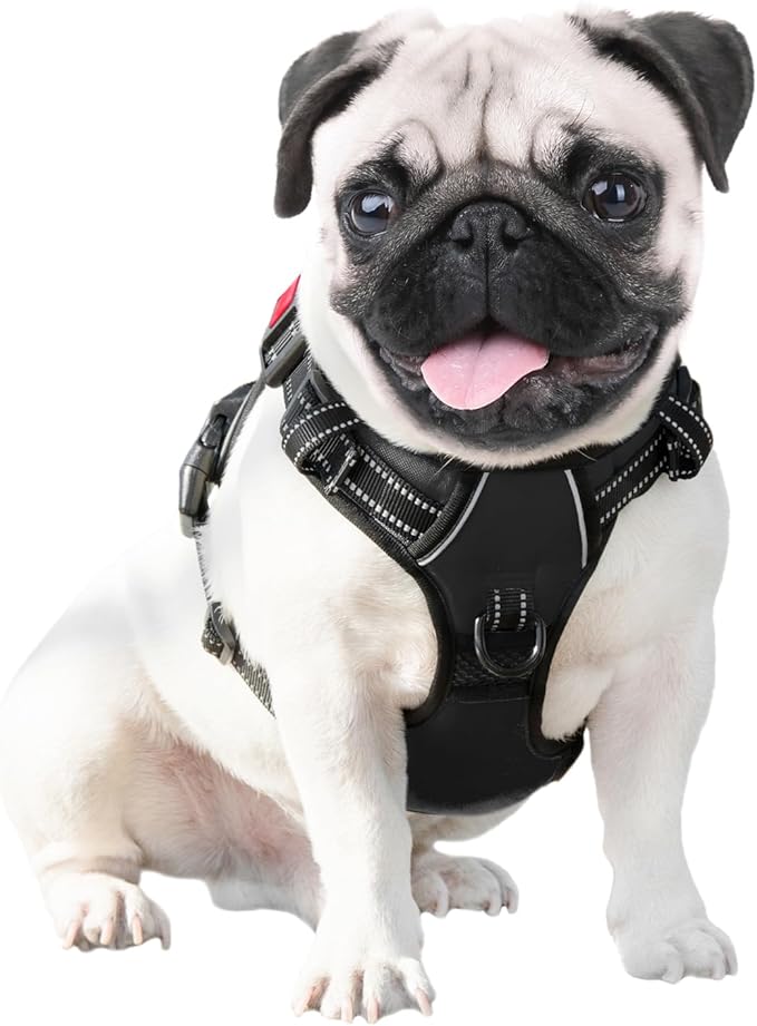 No Pull Dog Harnesses for Small Dogs Reflective Adjustable | Front Clip Vest with Handle 2 Metal Rings 3 Buckles [Easy to Put on & Take off] (S, Black) - Image 6