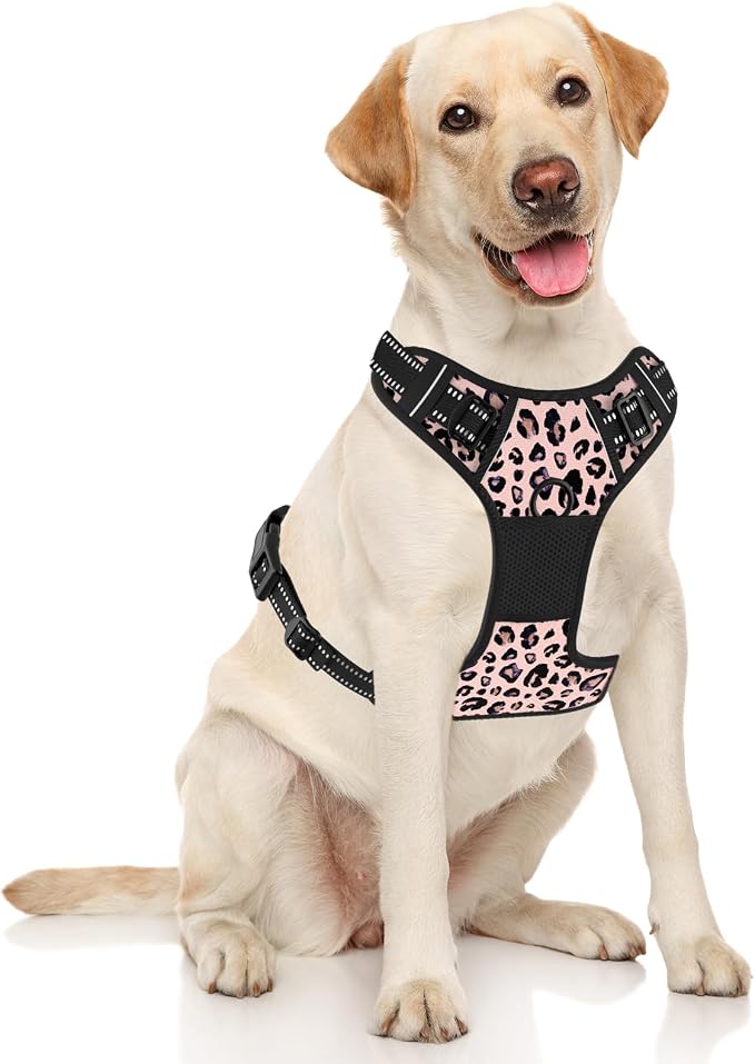 Rnivvi No Pull Dog Harness, Cute Leopard Reflective Medium Sized Puppy Kitten Harness, Adjustable Soft Padded Vest for Medium Dogs, Heavy Duty Pet Vest with Easy Control Handle for Walking, Pink - Image 2