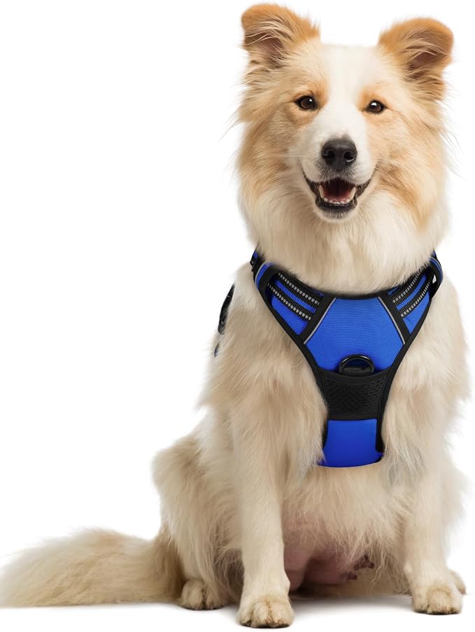 rabbitgoo Dog Harness, No Pull Medium Sized with 2 Leash Clips, Pet Vest | No Choke with Handle, Adjustable Soft Padded, Reflective, Easy Control for Walking, Dazzling Blue, Medium by rabbitgoo