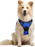 rabbitgoo Dog Harness, No Pull Medium Sized with 2 Leash Clips, Pet Vest | No Choke with Handle, Adjustable Soft Padded, Reflective, Easy Control for Walking, Dazzling Blue, Medium by rabbitgoo