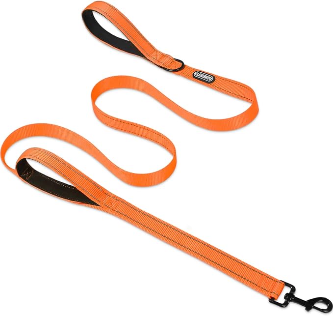 Heavy Duty Dog Leash with 2 Comfortable Padded Handles, 6FT Traffic Handle Extra Control, Highly Reflective Threads Leash for Small/Medium/Large Dogs (Orange) by DogSupplies