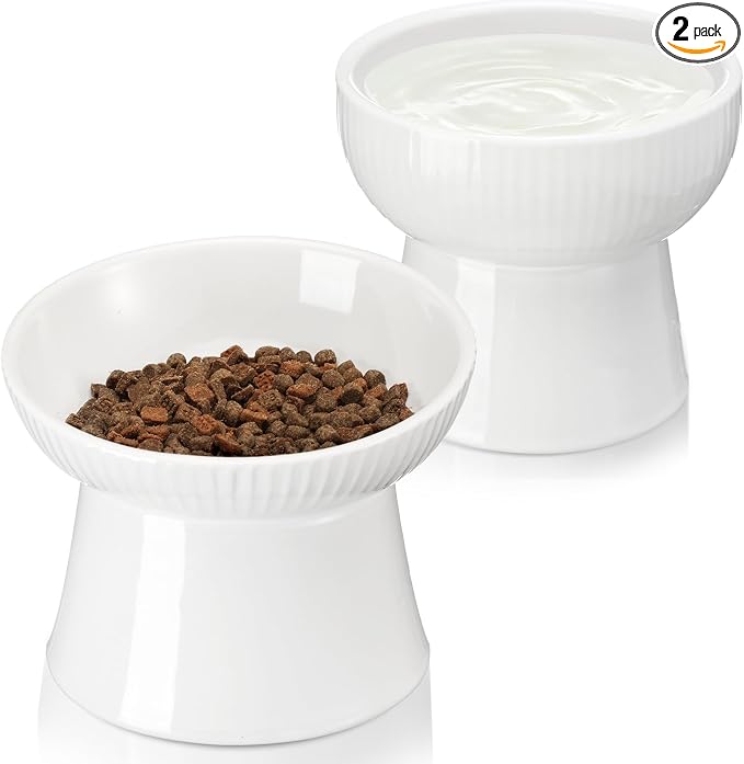 2 Pcs Cat Elevated Ceramic Bowls Raised Cat Food and Water Dishes, High Edge, Anti Vomiting Cats Feeder Bowl for Pets Kitten Puppies Dry Wet Food and Water, Dishwasher Safe by Unknown