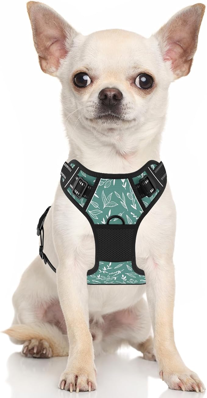 Rnivvi No Pull Dog Harness, Cute Reflective Small Sized Puppy Kitten Harness, Adjustable Soft Padded Vest for Small Dogs, Cats, Heavy Duty Pet Vest with Easy Control Handle for Walking, Green Leaves - Image 2