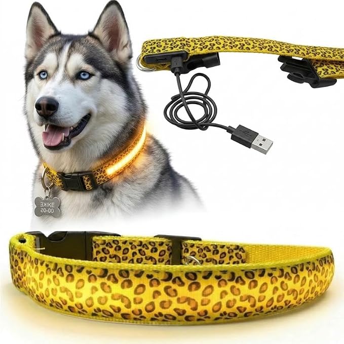 Leopard Dog Collar - Glow in the Dark USB Collar with Rechargeable Battery + Waterproof Design - Light Up Dog Collar - Yellow (Large Size) by Unknown