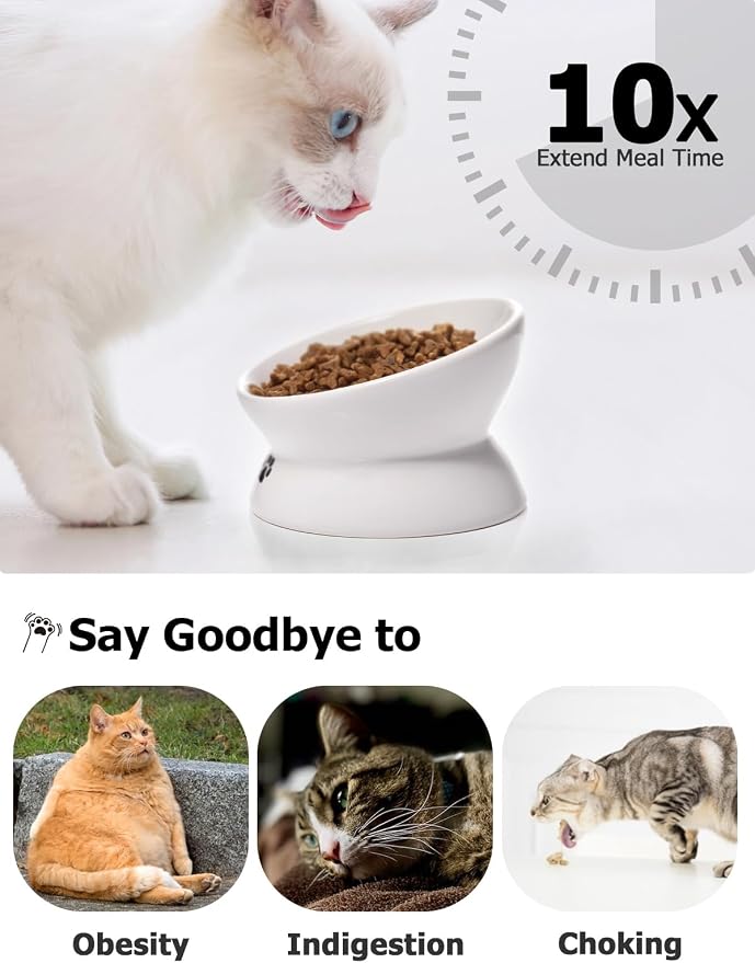 Y YHY Cat Bowl Anti Vomiting, Raised Food Bowls, Tilted Elevated Bowl, Ceramic Pet Food Bowl for Flat Faced Cats, Small Dogs, Protect Pet's Spine, Dishwasher Safe (5 Inches, White) - Image 3