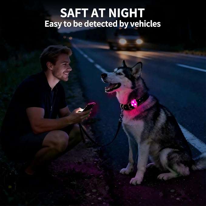 LaRoo Dog Lights for Night Walking, LED Dog Collar Lights for Nighttime, Clip On Light up Dogs Collar Walking Light (Pink) - Image 4