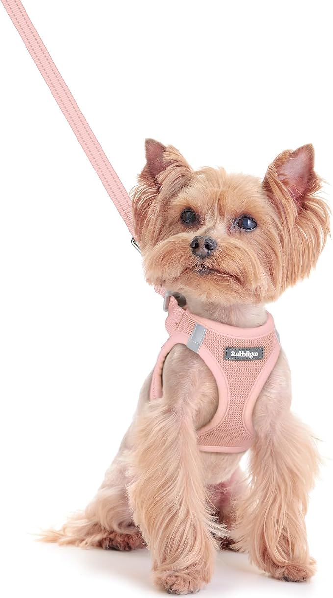 rabbitgoo Dog Harness Small Sized and Leash Set, Step-in Puppy Pet Vest | Light, Soft, Breathable Air Mesh, Easy on and Remove with Hook & Loop, Secure Reflective for Walking, Pink XXS by rabbitgoo