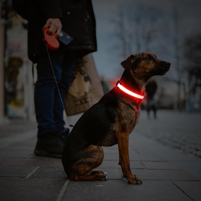 Illumifun Light Up Collar for Small Dogs, USB Rechargeable LED Dog Collar Glowing in the Dark, Safety Collar Light for Your Pups (Red, Small) - Image 7