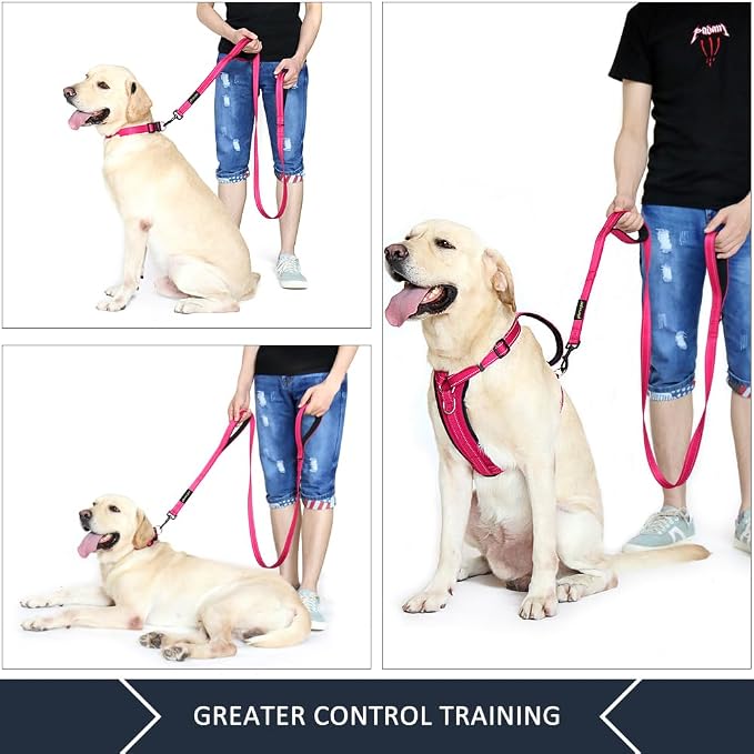 Plutus Pet Double Handle Dog Leash, 6 FT Long, for Medium Large Dogs | Reflective Nylon, Soft Padded 2 Handles, Heavy Duty for Training, Dual Handle Lead, 6 FT x 1”, Pink - Image 3