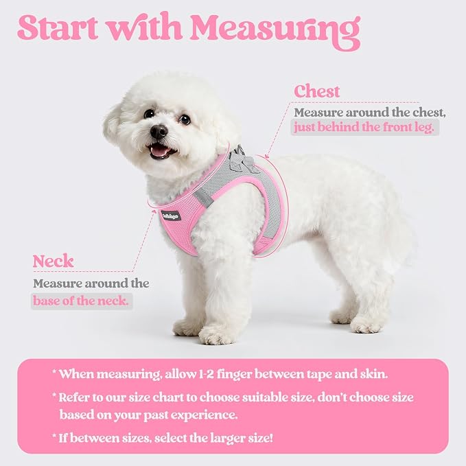 rabbitgoo Dog Harness Small Sized and Leash Set, Step-in Puppy Pet Vest | Light, Soft, Breathable Air Mesh, Easy on and Remove with Hook & Loop, Secure Reflective for Walking, Light Pink & Gray XXS - Image 2