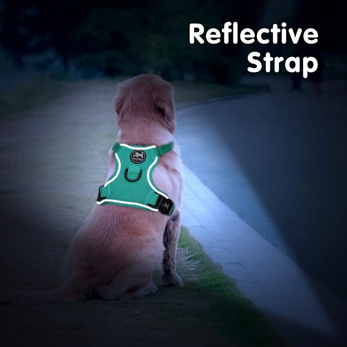 PoyPet Mesh Dog Harness, Reflective Breathable Puppy Vest for Large Dogs | Lightweight, Soft Air Mesh, Back D-ring, Adjustable, Comfortable, Double Padded, No Choke, for Daily Walking, L, Mint Green - Image 5