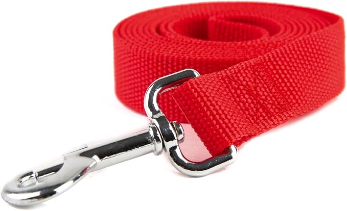 Nylon Dog Training Leash, Traction Rope, 4/5/6 Feet Long, 3/4 Inch 1 Inch Wide, for Small and Medium Dogs (1'' x 4 FT, Red) - Image 2