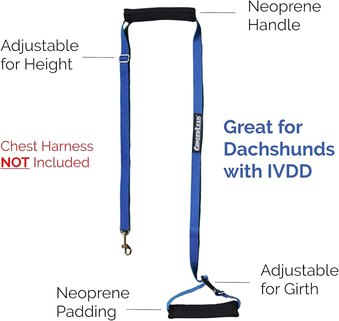 Dog Back Support IVDD Sling Harness, X-Small & Dachshunds | Fits Pets Under 25 lbs and Doxies, Walking Aid for K9s with Disc Disease, Fully Adjustable, Chest Harness NOT Included - Image 5