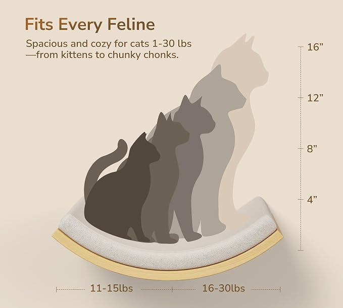4-PCS Cat Wall Shelves with Foam-Padded Bed & Sisal Steps for Indoor Cats | Cat Window Perches with Curved Bed, Flat Shelf and 2 Steps, Space-Saving Cat Climbing System & Floating Perch for Indoor Cats - Image 5