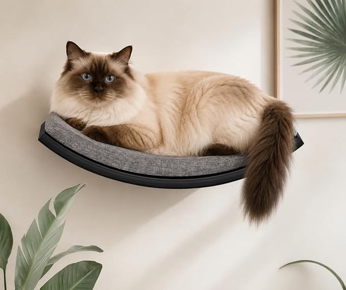 Curved Cat Wall Hammock Bed with Grey Foam Cushion – Floating Cat Wall Shelf Nest for Climbing, Sleeping & Lounging by PELUOMOZ
