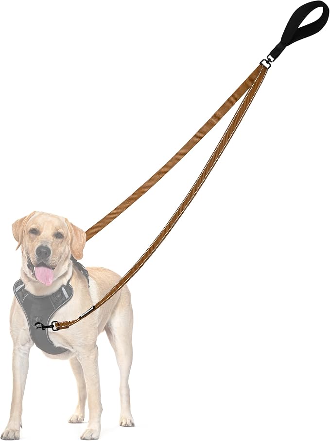 PetBonus Two Point Control Dog Leash, No Tangle Training Walking Leashes | Soft Padded Handle, Reflective, Works with No Pull Harnesses, Converts to Single Lead for Medium Large Dogs, Brown by Petbonus