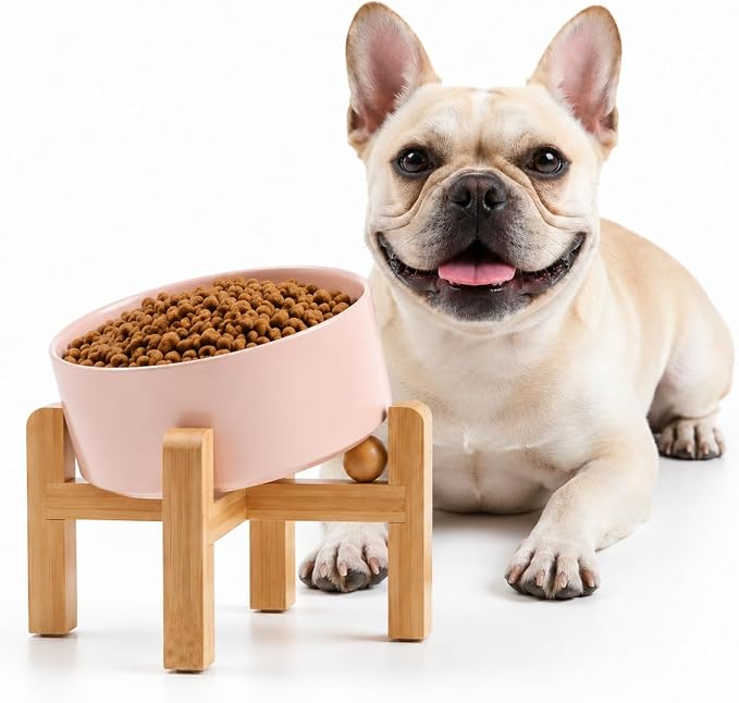Petygooing Khaki Raised/Elevated 15°Slanted Ceramic Dog Bowl for Small Breeds,Tilted Anti Slip Pet Feeding Bowl,Food Water Dish with Stand for Cats and Small Dogs Puppy 13.5 OZ (5.1In / 1.7 Cups) by PetygooingforYOURLOVEDPET
