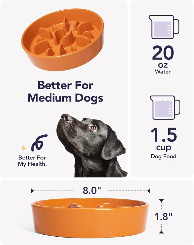 LE TAUCI Dog Bowls Slow Feeder Ceramic, 1.5 Cups Slow Feeding Dog Bowl Small Medium Breed, Puppy Bowl for Fast Eaters, Sun Orange - Image 5