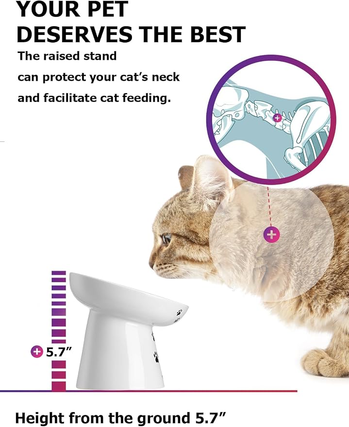 Y YHY Slow Feeder Cat Bowl, Ceramic Cat Slow Feeder Bowl, 6 Inches, Elevated, Anti Vomiting for Dry and Wet Food, White - Image 4