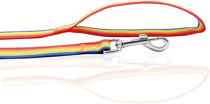 Nylon Dog Leash 4 Ft 5 Feet 6 Foot Long, Walking Training Dog Leashes for Medium Large Dogs, 1 Inch Wide (5/8" X 6 ft, Rainbow) - Image 4