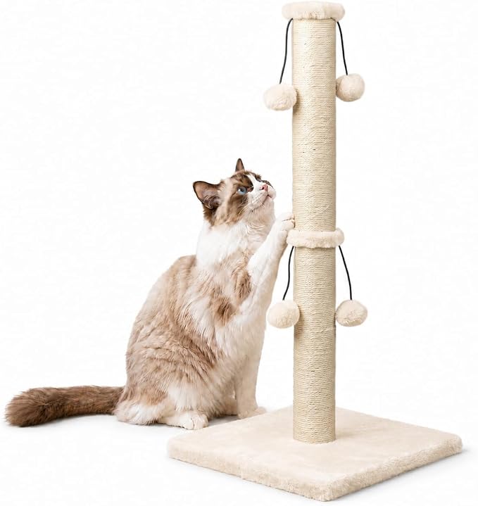 Dimaka 34'' Cat Scratching Post, Cat Scratching Post, Cat Scratcher for Large Cats with Teasing Toy Ball, Natural Sisal White and Grey (Beige) by DIMAKA