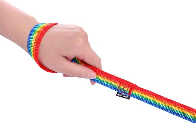 AMAGOOD 6 FT Puppy/ Dog Leash, Strong and Durable Traditional Style Leash with Easy to Use Collar Hook, Great for Small and Medium Dogs (3/4 in x 6 ft(Pack of 1), Rainbow) - Image 2