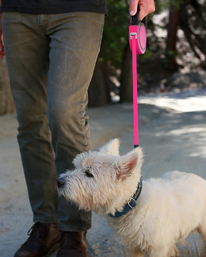 Taglory Retractable Dog Leash, One-Handed Brake, 16ft, Up to 44 lbs, Pink | More Freedom While Staying in Control, Smooth Retraction, Tangle-Free Design, Easy-Grip Handle, Daily Neighborhood Walks - Image 7