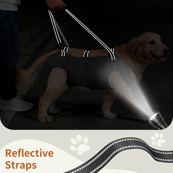 Full Body Dog Lift Harness, Support Senior & Disabled Dogs Walking | Help Up & Down Stairs Grooming, Dog Sling Backpack, Front Hind Leg Joint Injuries, Reflective, Soft Padded Handle | Black, S - Image 6