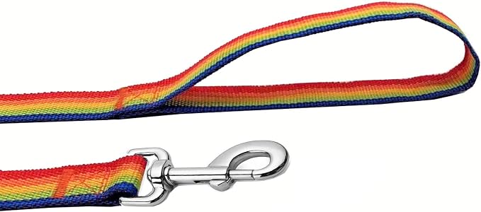 Strong Nylon Dog Leash, 4FT/ 5 FT/ 6FT Dog Leashes for Medium Large Dogs (4FT, Rainbow) - Image 4