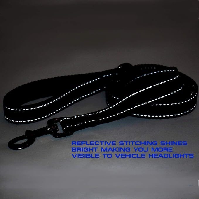 Max and Neo Reflective Nylon Dog Leash - We Donate One for Every Sold (Purple, 6ft) - Image 5