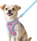 rabbitgoo Dog Harness Small Sized and Leash Set, Step in Soft Vest | Breathable Mesh, Easy Wear with Hook & Loop, Light and Reflective for Walking, Multi-colored, Pink & Blue, XXS by rabbitgoo