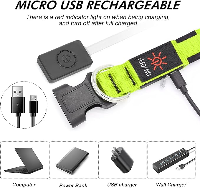 Illumifun LED Dog Collar, USB Rechargeable Light Up Dog Collar Glow in the Dark (Green, Medium) - Image 4