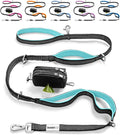 Dog Poop Bag Holder with Dispenser & Storage Pouch - Includes Adjustable Reflective Dog Leash (6FT Bungee, Padded Handles) - Durable Leash for Walking, Training & Travel (Aqua) by Leashrr20