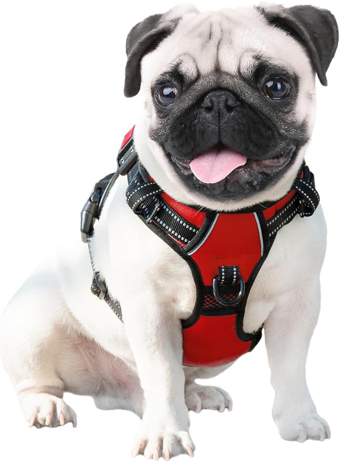 No Pull Dog Harnesses for Small Dogs Reflective Adjustable | Front Clip Vest with Handle 2 Metal Rings 3 Buckles [Easy to Put on & Take off](S, Red) - Image 4