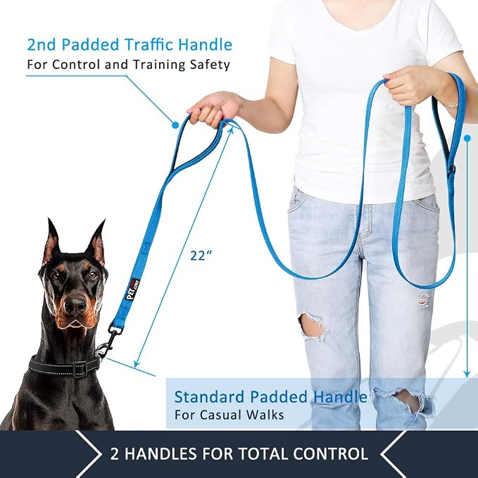 Plutus Pet Double Handle Dog Leash, 6 FT Long, for Medium Large Dogs | Reflective Nylon, Soft Padded 2 Handles, Heavy Duty for Training, Dual Handle Lead, 6 FT x 1”, Light Blue - Image 2