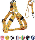 Dog Harness Leash Set Adjustable Heavy Duty No Pull Halter Harnesses for Small Medium Large Breed Dogs Back Clip Anti-Twist Perfect for Walking (M(19"-26" Chest Girth), Yellow Bee) by QQPETS