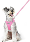 rabbitgoo Dog Harness Medium Sized and Leash Set, Step-in Puppy Pet Vest | Light, Soft, Breathable Air Mesh, Easy on and Remove with Hook & Loop, Secure Reflective for Walking, Light Pink XL by rabbitgoo